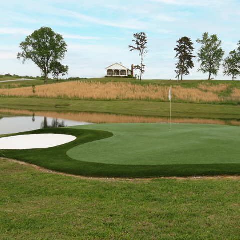 Backyard Golf Solutions