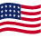USA Flag